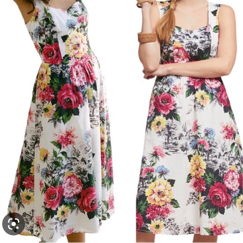 Anthropology Amelia Flora Fit & Flare